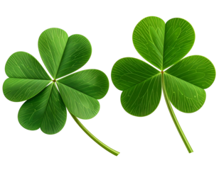 Clover leaves on black, natural pattern