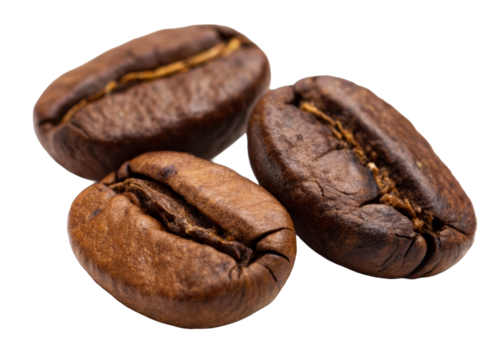 Close up of three dark roasted coffee beans with rich texture and deep brown color, perfect for illustrating coffee production and beverage themes.