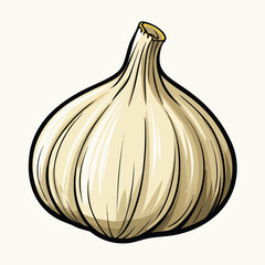 vector illustration of garlic