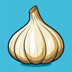 vector illustration of garlic