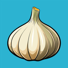 vector illustration of garlic