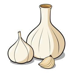 vector illustration of garlic