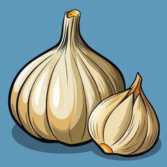 vector illustration of garlic