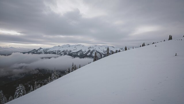 Snow-covered mountain landscape with trees and overcast sky, indicating a winter scene.