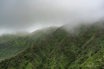 Mauʻumae Ridge Trail (Puʻu Lanipō), Oahu, Hawaii. Koʻolau Range, shield volcano.	
