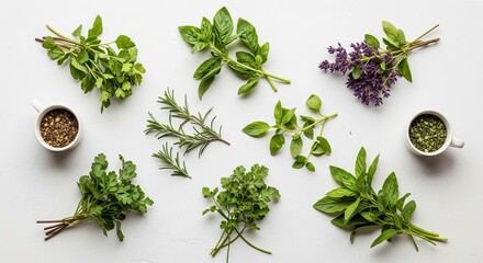 Flat lay display of fresh culinary herbs like basil, rosemary, and parsley, bunched with dried spices on a clean white background.