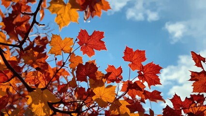 Colorful autumn leaves on the branches against a blue sky with clouds.