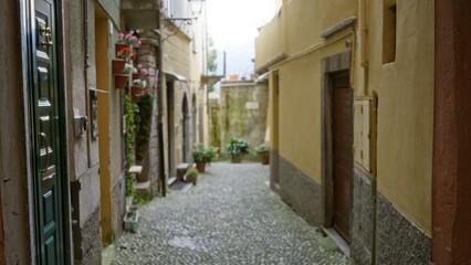 Narrow cobblestone alley softly defocused with shallow bokeh focus, warm stucco facades and potted plants outdoor alley background; background backdrop copyspace calm.