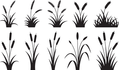 Cattail icon vector set. reeds illustration sign collection. swamp symbol. grass logo