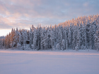 Obraz premium Sunset over a snowy forest and a frozen lake in Lapland. 
