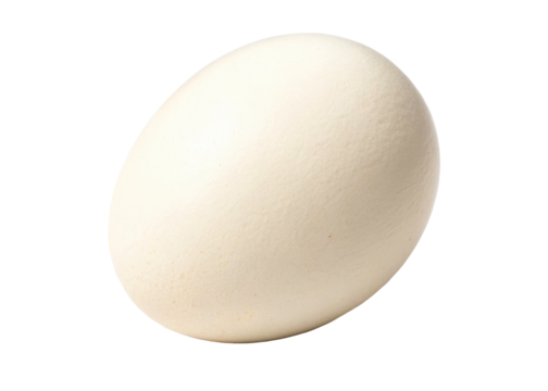 A single, smooth, ovate egg with a pale shell rests on a clean surface, perfect for food blogs, Easter celebrations, or breakfast advertising.