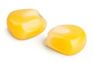 corn seeds isolated on white background with full depth of field