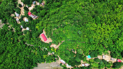 Aerial view of lush green forest with scattered buildings, Aerial view of lush green forest with scattered buildings