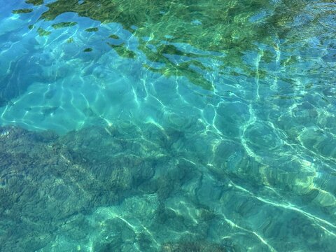 Clear sea emerald water with algae at the bottom.