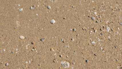 Close-up of sandy ground with small stones and pebbles scattered throughout.
