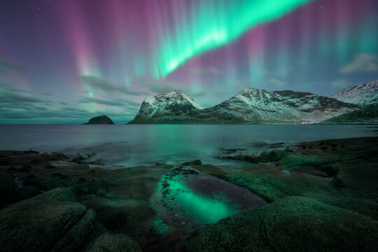 Aurora borealis on night starry sky with vibrant green and pink colors, reflection on water near the rocky shore in winter. Northern lights over beach and snowy mountains in Lofoten Islands, Norway