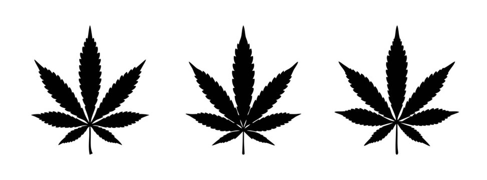 Black cannabis leaves vector illustration, marijuana leaf silhouette, weed ganja hemp design element