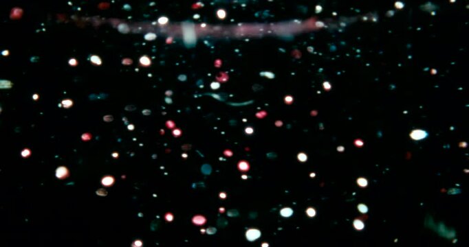 Red, blue, and silver particles drift through water in a dark space, reflecting cool and warm light&mdash;cosmic, dreamy, glittering star-like movement.