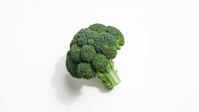 Broccoli vegetable on white background. Fresh broccoli with healthy food concept. Green vegetable, healthy diet, and nutrition. Broccoli vegetable isolated. - Powered by Adobe