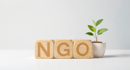 Support NGOs making a difference with sustainable initiatives and green growth, showcasing corporate social responsibility and community development with impactful programs