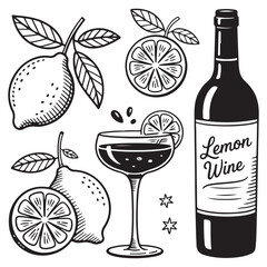 Lemon Branch with Sliced Citrus and Drink Glass — Hand-drawn Black Vector Set