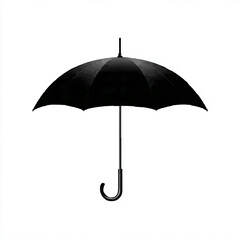 Black Umbrella Provides Rain Protection

