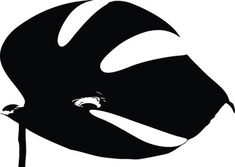 Dramatic Monstera Leaf Silhouette Graphic Design Element in Bold Black and White