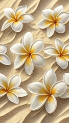 White Frangipani flowers on sand background.