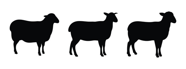 Black sheep silhouette vector illustration, farm animals graphic design element for prints and crafts