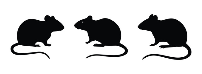 Fototapeta premium Three black rat silhouettes vector illustration rodents pest control design element clip art animal graphic