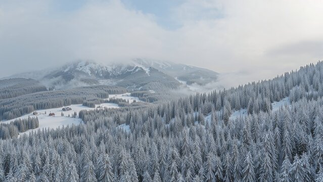 Snow-covered forest and mountain landscape with foggy sky and distant peaks. Winter scenery with trees blanketed in snow.