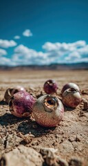 Desert Jewels - A Close-Up of Dried Onions on Cracked Earth.