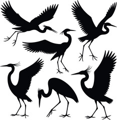 Six black silhouettes of herons in various poses bird