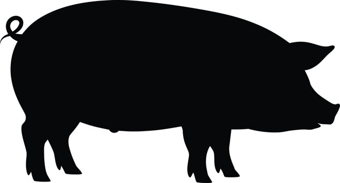 Wild boar pig silhouette vector illustration of farm animal nature outline