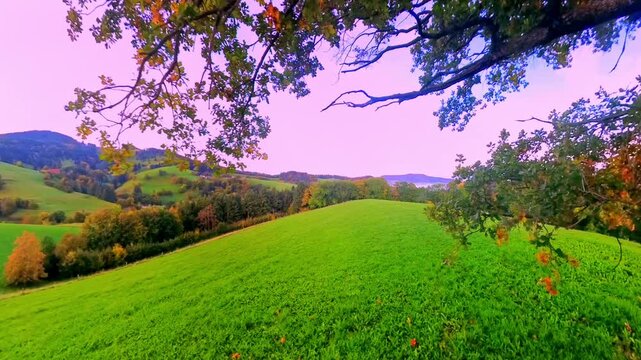 Idyllische Mittelgebirgslandschaft mit majest&auml;tischem gro&szlig;en Baum und sanften H&uuml;geln im Sonnenaufgang, perfekte Kulisse f&uuml;r beruhigende Momente, Freizeitaktivit&auml;ten und Naturprojekte, Schwarzwald