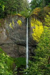 Latourell Falls in Oregon