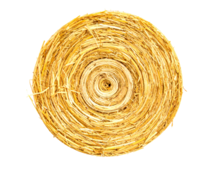 Rolled Hay Bale Isolated on Black Background