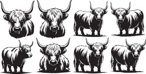 Obraz premium Highland Cattle Vector Illustration Collection Black and White Farm Animals