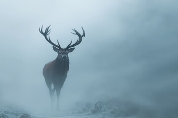 Naklejka premium Majestic Stag Emerges from Mist: Nature's Artistic Wildlife Portrait