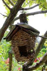 Parc de l'&icirc;le Saint-Germain - Paris - France