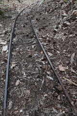 Disused rail track in the forest - Yvelines - France