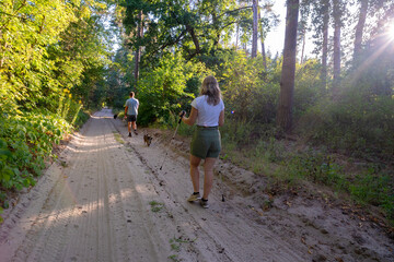 Couple and their dogs enjoy a peaceful Nordic walk on a sun-dappled forest path. Ideal for health, nature, and active lifestyle themes.