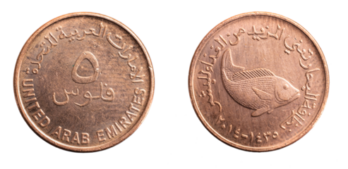 Arab Emirates five filis coin on white isolated background