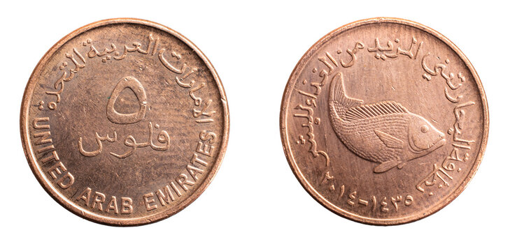 Arab Emirates five filis coin on white isolated background