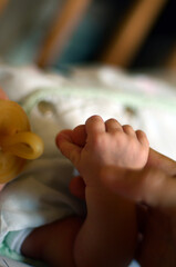 hand of a newborn is holding a finger of an adult in blur