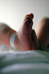 feet of an newborn with a sign on his leg