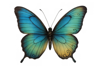 Hand drawing butterfly flying with spreading wings displaying blue, teal, and yellow colors on transparent background