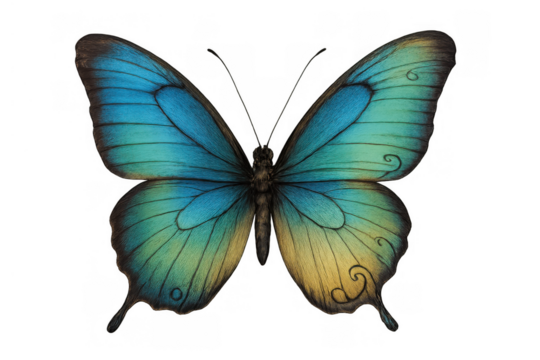 Hand drawing butterfly flying with spreading wings displaying blue, teal, and yellow colors on transparent background