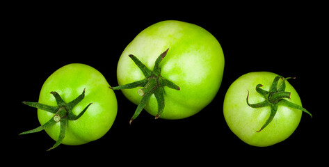 Green tomatoes isolated on black background.