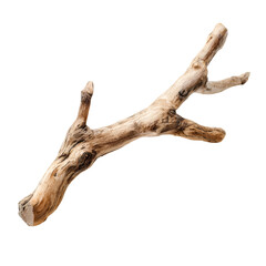 A weathered gnarled tree branch with multiple forks isolated on transparent background